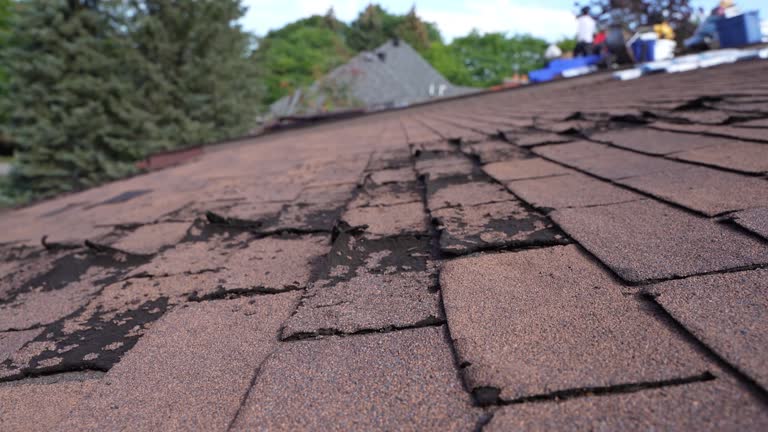 Best Asphalt Shingle Roofing  in Continental, OH
