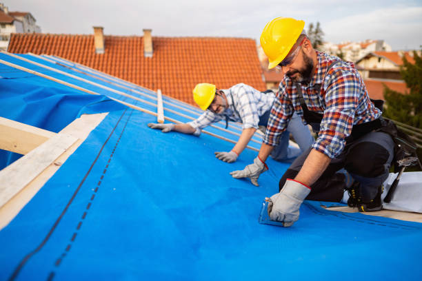 Best Roof Moss and Algae Removal  in Continental, OH